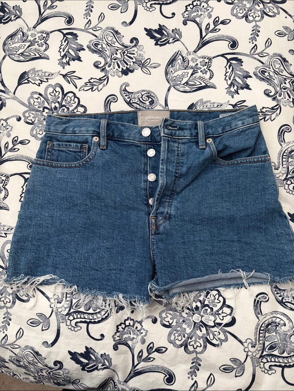 Everlane Medium Wash Button-Fly Denim Cutoff Shorts